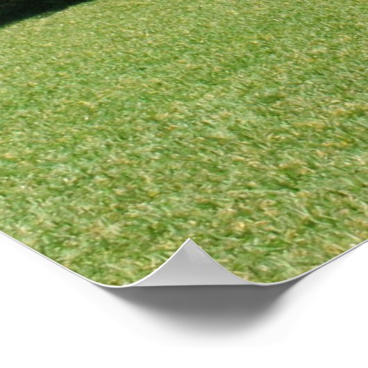 Die Cloistes, Paradise Island, Bahamas Poster (Ecke)