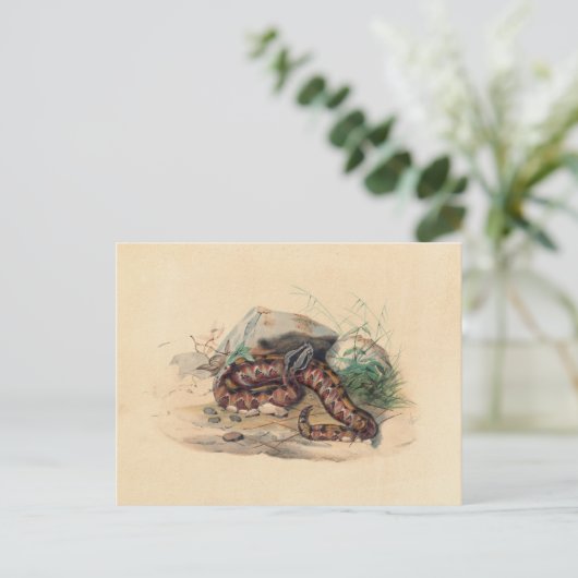 Die Clotho von Joseph Wolf Postkarte (Stehend Vorderseite)