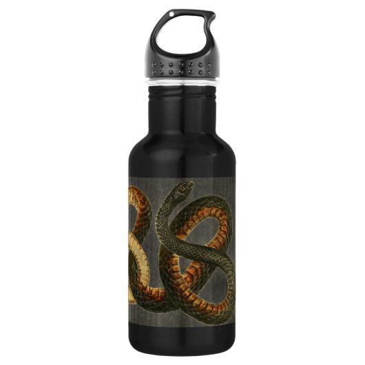 Die Coachwhip Schlange Wasserflasche (Vorderseite)