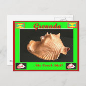 Die Conch-Muschel Postkarte (Vorne/Hinten)