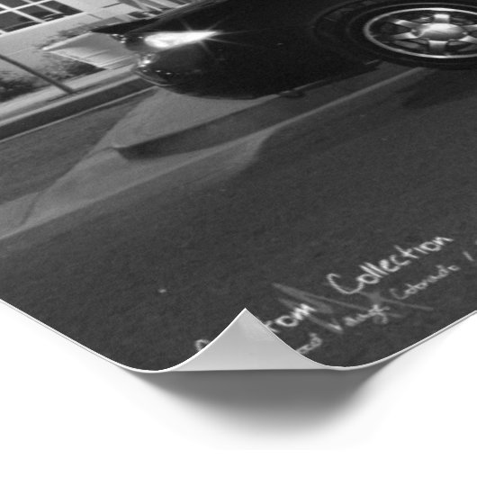 Die Cougar Poster (Ecke)