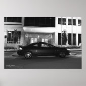 Die Cougar Poster (Vorne)