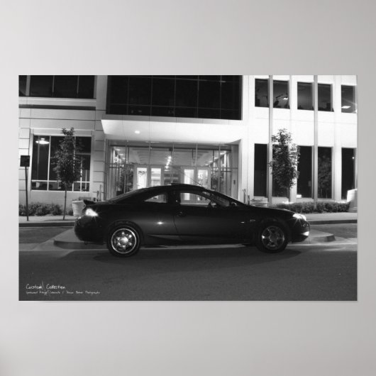 Die Cougar Poster (Vorne)