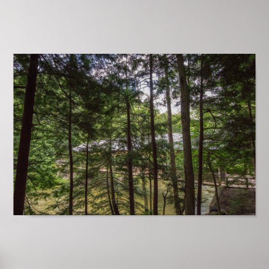 Die Covered Bridge des Mohican Staat Park, Ohio. Poster (Vorne)