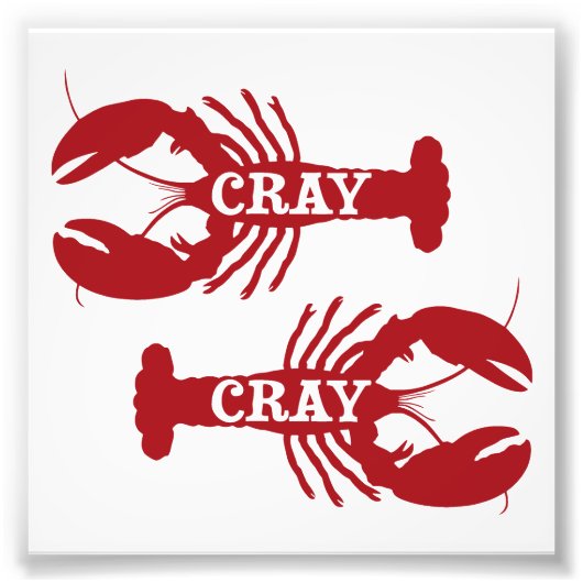Die Cray Cray Crayfish Crustacean Fotodruck (Vorne)