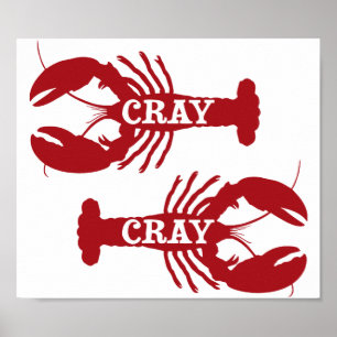 Die Cray Cray Crayfish Crustacean Poster