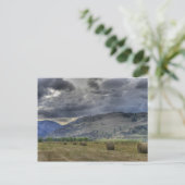 Die Crop ist da. Postkarte von Midway B.C. (Stehend Vorderseite)