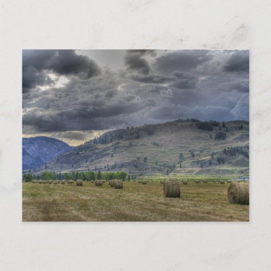 Die Crop ist da. Postkarte von Midway B.C. (Vorderseite)