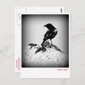 Die Crow Post Card Postkarte (Vorne/Hinten)