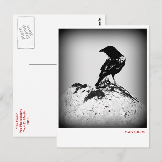Die Crow Post Card Postkarte (Vorne/Hinten)