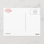 Die Crow Post Card Postkarte (Rückseite)