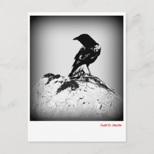 Die Crow Post Card Postkarte