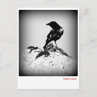 Die Crow Post Card Postkarte