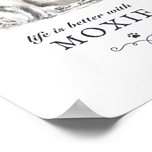 Die Dackel ist besser mit dem benutzerdefinierten Poster (Ecke)