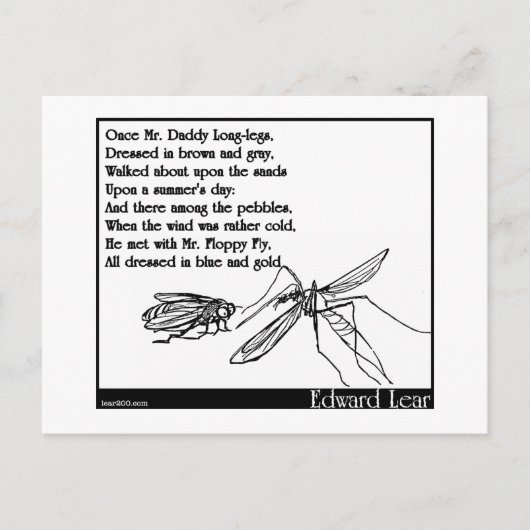 Die Daddy Lange Lege und die Fliege Postkarte (Vorderseite)