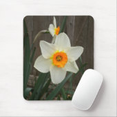 Die Daffodien-Maus-Pad Mousepad (Mit Mouse)