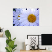 Die Daisies - 20 x 30 Poster (Heimbüro)