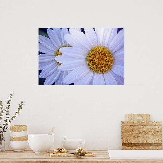 Die Daisies - 20 x 30 Poster (Küche)