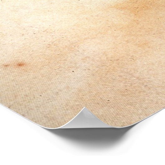 Die Daisy Fairy - Poster (Ecke)