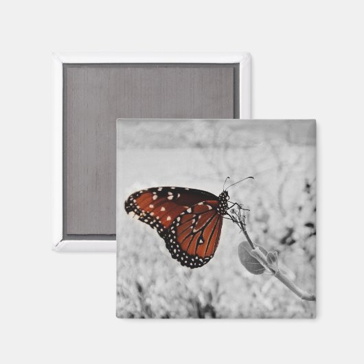 Die Dame am See Magnet (Vorderseite/Rückseite)