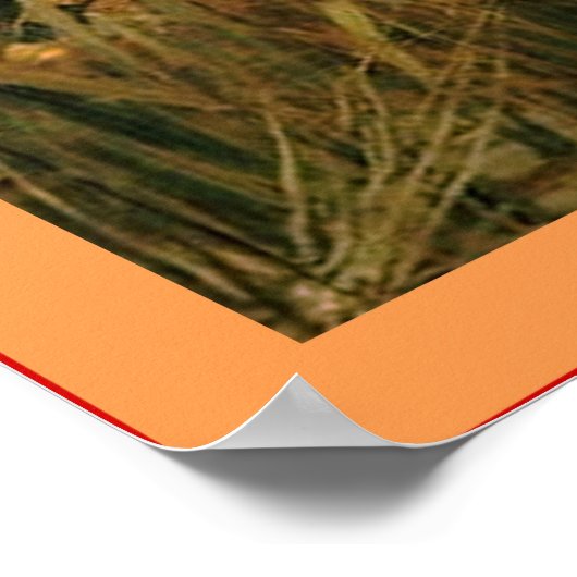 Die Dame von Shalott Poster (Ecke)