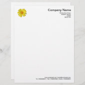 Die Dämmerung im Regen Briefkopf (Vorne/Hinten)