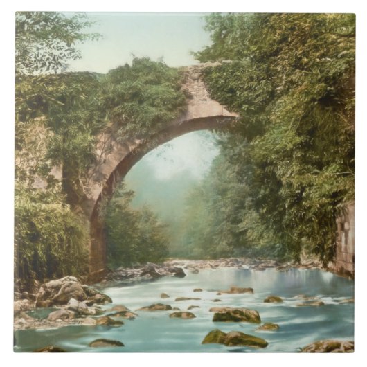 Die Dargle-Brücke in Irland Fliese (Vorderseite)