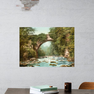 Die Dargle-Brücke in Irland Poster