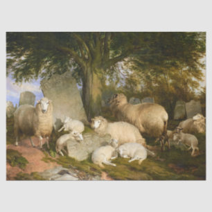 Die Darstellung auf Gottes Akre von Thomas Sidney Seidenpapier