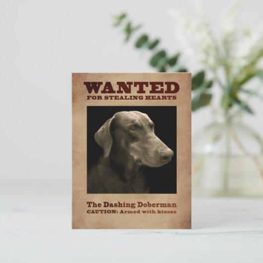 Die dashing Doberman Postkarte (Stehend Vorderseite)