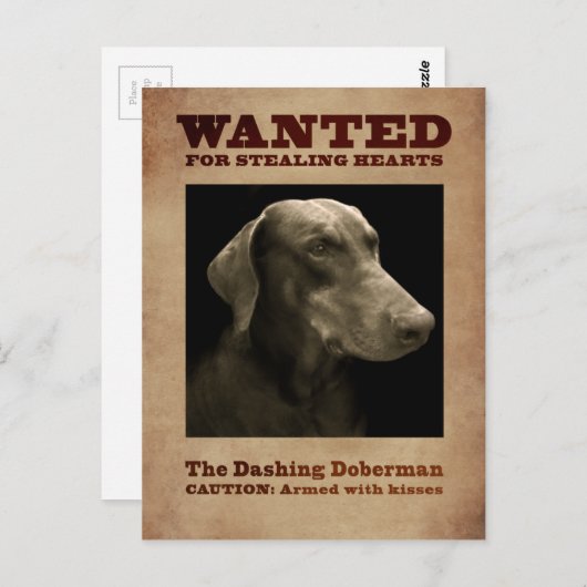 Die dashing Doberman Postkarte (Vorne/Hinten)