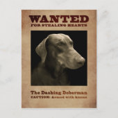 Die dashing Doberman Postkarte (Vorderseite)