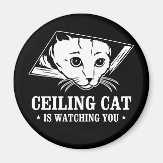 Die Deckenkatze beobachtet dich Magnet