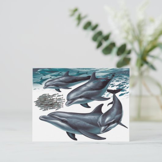 Die Delphine Postkarte (Stehend Vorderseite)