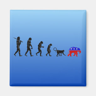 Die demokratische Dezentralisierungstheorie Magnet