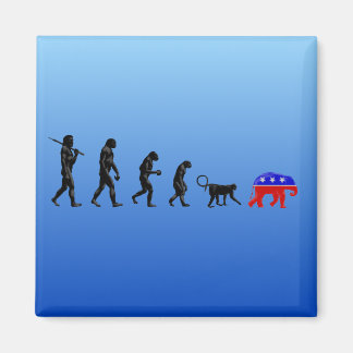 Die demokratische Dezentralisierungstheorie Magnet