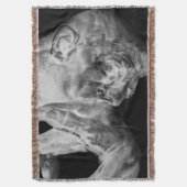 Die Denker-Wurfs-Decke Decke (Vorderseite Vertikal)