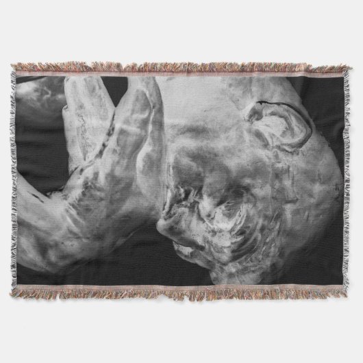 Die Denker-Wurfs-Decke Decke (Vorderseite)