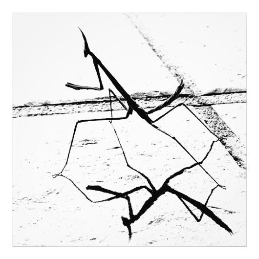 Die Denkmäler Fotodruck (Vorne)