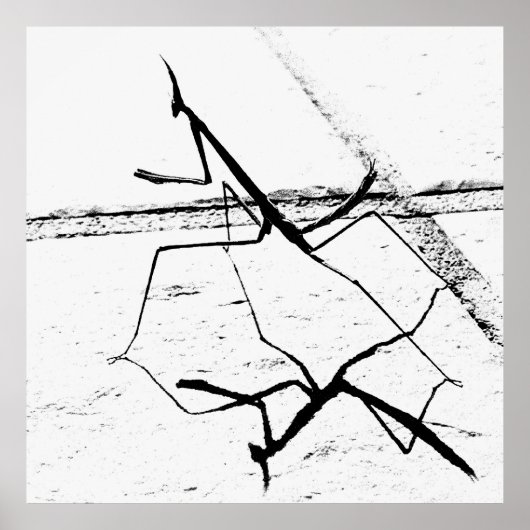 Die Denkmäler Poster (Vorne)