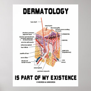Die Dermatologie ist Teil meiner Existenz (Anatomi Poster