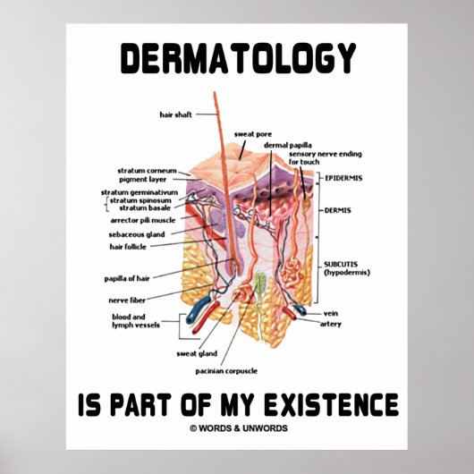 Die Dermatologie ist Teil meiner Existenz (Anatomi Poster (Vorne)