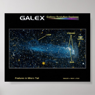 Die detaillierte Star Mira mit Schwanz Poster