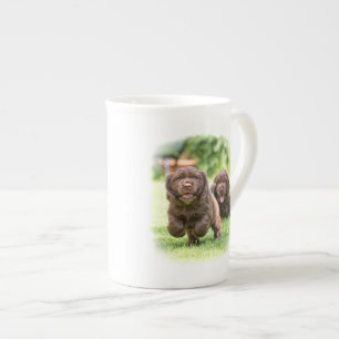 Die DIBBLE Knochen-China-Tasse "Blick heraus kommt Porzellantasse