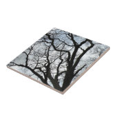 Die Die Ader-Keramik-Fliese des Baums Fliese (Seite)