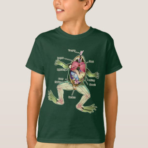 Die Die Anatomie-Illustration des Frosches T-Shirt