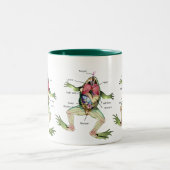 Die Die Anatomie-Illustration des Frosches Zweifarbige Tasse (Mittel)