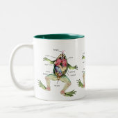 Die Die Anatomie-Illustration des Frosches Zweifarbige Tasse (Links)