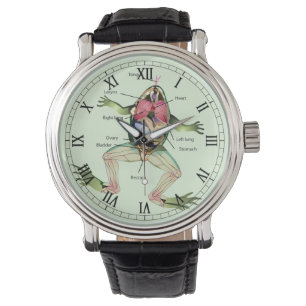 Die Die Anatomie-Illustrations-Römer des Frosches Armbanduhr