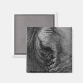 Die Dinge, die ich gesehen habe, weißer Rhino. Mag Magnet (Vorderseite/Rückseite)